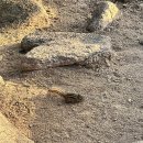 [고성 등산코스 추천] 금강산 신선대(성인대) 후기, 울산바위 인생뷰+화암사 하산길까지! (초보 가능)