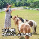 평새말목장2 | 가평 에델바이스 스위스 테마파크 양떼목장 마운틴 슬라이드 6월 가족 후기