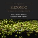 올리브 네이버블로그