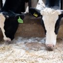 경종농장 이미지