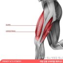 짐프릭 면목점 이미지