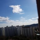 당구치기좋은날 이미지