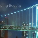 사과네 케이스