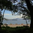 도산보건진료소 네이버블로그