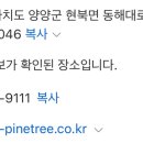지오 파인트리 이미지