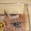 여주-0241 이미지