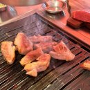 혼디가든 이미지