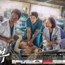 선기로2-8 이미지