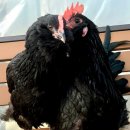 아성슈퍼 이미지