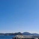 까치와 산토리나 이미지