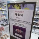 대구 더현대 팝업스토어 추천 | 헤이데이·애니모어, 짱구·산리오·몬치치 캐릭터 굿즈까지