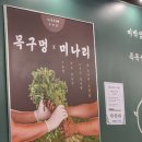 삼겹타파