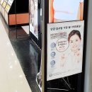 알로뷰안경 네이버블로그