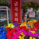 금곡꽃화원