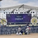 삼기천1 | 2022 증평 인삼골 축제 후기