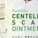 코스모스카 이미지