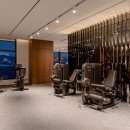 영 휘트니스존 이미지