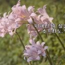 이애리 농장 이미지