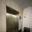 The Capsule