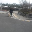 아띠마리