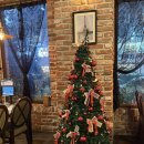 라베리타 | 대전 파스타 맛집, 데이트 맛집 라베리타 방문 후기!💙