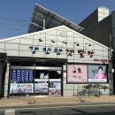 강진만갯벌탕 | 강진) 영양이 가득한 짱뚱어탕 맛집, 강진맛갯벌탕 솔직후기