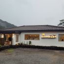콩수다