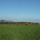 모과목장 이미지