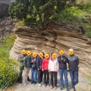 너울숲공원 | [공지] [다온프라임호텔]울릉도3박4일 패키지여행 후기