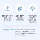 목기 | 비바슈슈 남성 중목양말 후기 | 쫀쫀 목긴 무지 양말 8켤레 솔직 리뷰