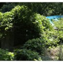 인천공항초교 신도분교 이미지