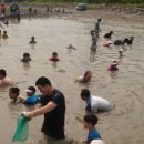 월정방풍림 이미지