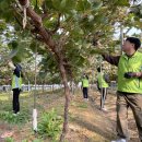 이상윤농장 이미지