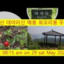 대야리산 Daum카페