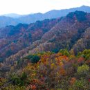 매봉산1 이미지