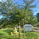 온수도시자연공원(지양산 둘레길) | 광명 도덕산 캠핑장 후기 | 서울 근교 가족 캠핑 추천