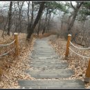 서울양천고성지 티스토리