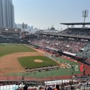 낭만의 스포츠가 좋아⚾️