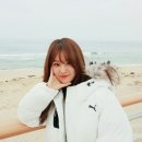 시크릿지니