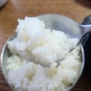 안산지 | [제주시] 현지인 맛집 산지해장국 본점 주차 내장탕 내돈내산 후기