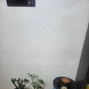 부산철학관 찾다가 방문한 동양철학관 개명 상담 후기
