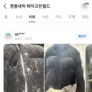 월드베스트 크린