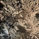 수원시 팔달구 향교로137번길 | [수원]행궁동 식물원 감성 카페 뜰 리저브에서 버터떡 먹고온 후기 / 수원 버터떡 맛집 | 내돈내먹