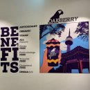 푸드캐피탈 웍스타일 | 더현대 오크베리 아사이 후기, 추천조합 같은거 없다 그냥 맛있다!