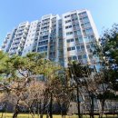 삼성파크 이미지