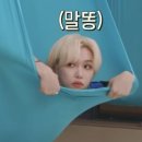 승철이네칼국수 이미지