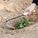 호왕농장 이미지