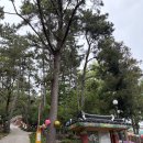 수인사유치원 | 김해 주촌 경운산(378m) 등산 후기