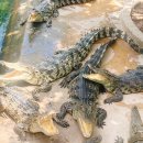 섬안농장 이미지