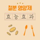 수암2길 | 철분 영양제 효과 총정리 - 피로와 빈혈에 좋은 이유 꼭 알아야합니다.